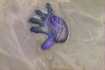 A glove