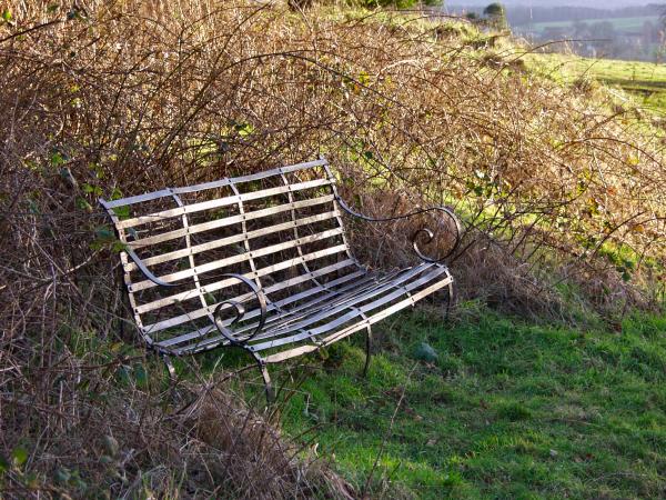 Large picture of a bench, inviting to the tired web-surfer to sit down